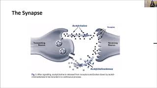 Donepezil and Memantine by DrShabina Sheth [upl. by Yoshio]