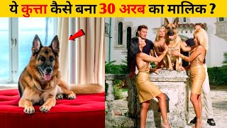 ये कुत्ता कैसे बना 30 अरब का मालिक   Grandeur facts01 [upl. by Naji596]