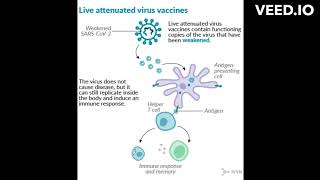 Attenuated vaccines and how does it work [upl. by Toffey]