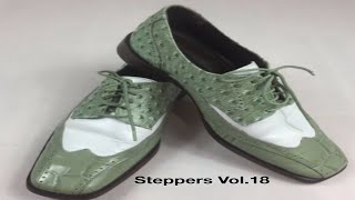 Steppers Vol18 SeriouSteppers Only [upl. by Notniuq374]