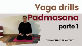 Yoga drills  aprende a hacer padmasana parte 1 [upl. by Trish963]