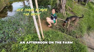 vlog 043 An afternoon on the farm in Isaan [upl. by Reinaldo]