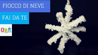 Esperimento di chimica con meno di 5 euro come fare neve finta in casa [upl. by Ahsykal]