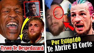 Defiende A Tyson Y Se Burla De Jake Paul Por Payaso [upl. by Janela]