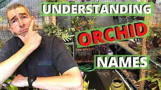 UNDERSTANDING ORCHID NAMES  Orchid Taxonomy for the Amateur [upl. by Netsrijk620]