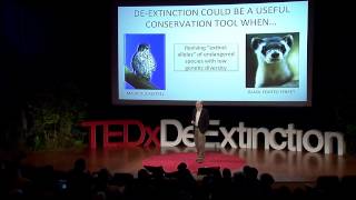 Deextinction a gamechanger for conservation biology Stanley Temple at TEDxDeExtinction [upl. by Adria19]