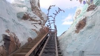 Expedition Everest POV in REVERSE Backwards with Night Vision Disneys Animal Kingdom Disney World [upl. by Lail625]