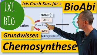 Chemosynthese  Grundwissen und Keywords zum Stoffwechsel chemoautotropher Organismen Bio Abitur [upl. by Enairb]