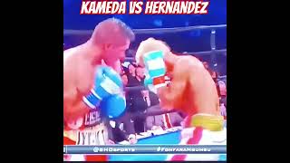 Kameda vs Hernandez Championship boxing highlights boxingworld [upl. by Westfahl]