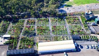 Plantmark Wantirna  Wholesale Plant Nursery Tour [upl. by Sadoc795]