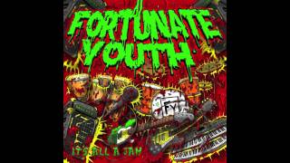 Fortunate Youth  Positive [upl. by Sewoll]