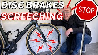 Stop Noisy Disc Brake Squeal And Clean Contaminated Brakes  Road Bike Maintenance [upl. by Delphina266]