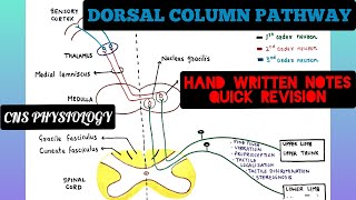 Dorsal Column Pathways  Ascending Pathways  2  CNS  Physiology [upl. by Mattias]