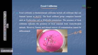 Indicator organism fecal coliform total coliform [upl. by Clay103]