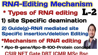 RNA Editing in EukaryotesL2Types and Mechanism of RNA Editing csir net RNA Editing [upl. by Enoved179]