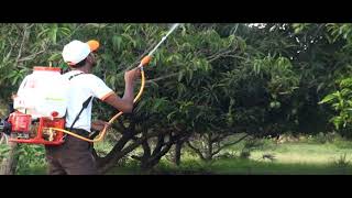 MAAX Knapsack Power Sprayer for high trees [upl. by Brainard]