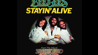 Bee Gees  Stayin Alive 1977 Disco Purrfection Version [upl. by Annaitsirhc]