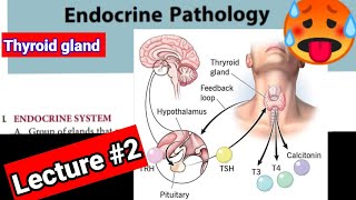 🔴 ENDOCRINOLOGY PATHOLOGY LECTURES 2 Thyroidgland hyperthyroidism hypothyroidism [upl. by Alleyn]