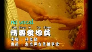 情深爱也真 Qing Shen Ai Ye Zhen 伴奏 karaoke 林思健 Lin Si Jian [upl. by Ladiv]