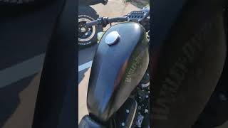 Harley Davidson Sportster Iron 883 Start UP iron883 [upl. by Ellita383]