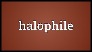 Halophile Meaning [upl. by Arny]