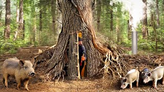 Building a secret shelter deep inside big tree [upl. by Hines]