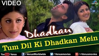 Tum Dil Ki Dhadkan Mein  Duet Dhadkan [upl. by Malorie]