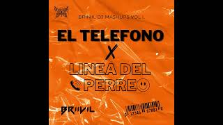 EL TELEFONO x LINEA DEL PERREO  BRIIIVIL MASHUP [upl. by Assirrem398]