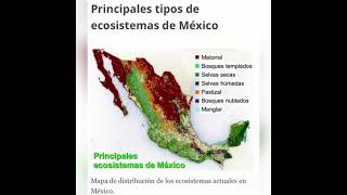 Los principales ecosistemas en México [upl. by Adalia670]