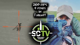 SampC TV  Foxing with Mark Ripley 260RIPS 10  4 foxes in 1 night PLUS longrange shooting tips [upl. by Sigismond750]