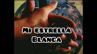 Mi Estrella Blanca Fondo Flamenco Cover [upl. by Etat]