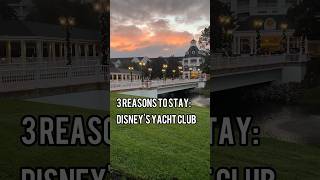 3 Reasons To Stay Disneys Yacht Club [upl. by Derrej]