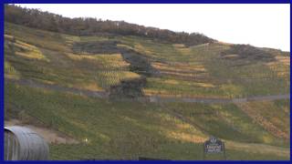 Weinfest in Altenahr und Maischoß [upl. by Acinot]