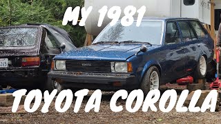 My 1981 Toyota CorollaDay in the life Quick run through [upl. by Ramiah]