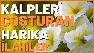 İLAHİLER  ALLAHIN HABİBİ NEBİ DERTLERİN TABİBİBİ NEBİ SALAT SELAM OLSUN ONA [upl. by Inessa]