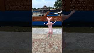 sphynx cat dance 🤓🥳🪩 shorts cat catlover viralshorts [upl. by Yewed291]