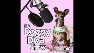 The Doggy Diva Show  Episode 11 Pooch Scooch  Hurricane Rescues  Pet Memorial Day [upl. by Cirde]