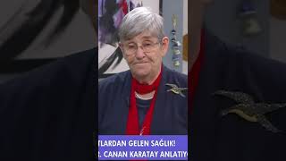 Canan Karatay quotŞeker Hastalığı Düzelirquot  Ezgi Sertelle Kadınlar Bilir shorts [upl. by Pears]