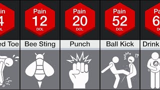 Comparison Human Pain [upl. by Jordon]