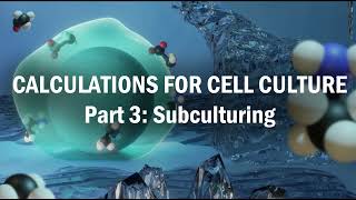 Calculations for Cell Culture Part 3 Subculturing [upl. by Urbani]