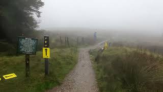 Ecotrail Wicklow Course Marking  Part 3 Marking two way junctions [upl. by Ylahtan]