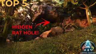 Top 5 Best Ark Ascended Rat Holes  Base Spots [upl. by Raquel134]