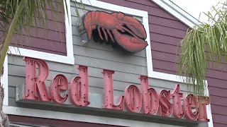 What brought down Red Lobster [upl. by Anirav]