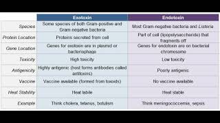 Endotoxins and Exotoxins  bacteria  noorpharmacylectures8513 [upl. by Shaylah]