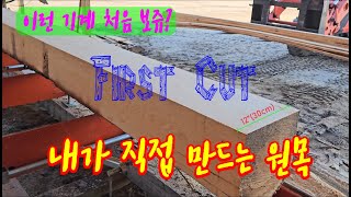 원목을 내입맛대로 만드는 기계 Wood Mizer LX150 sawmill first usage amp pallet making 미동부 바닷가 시골마을 [upl. by Najib]