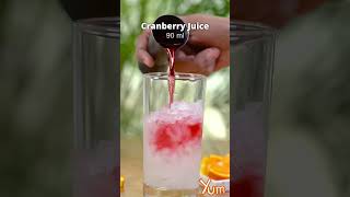 Vodka Cranberry Cocktail [upl. by Iaria]