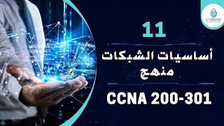 أساسيات الشبكات 11 🕸️ لغات الشبكات Network languages Binary  Decimal HexaDecimal [upl. by Nosyt]