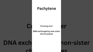 Meiosis Prophase 1 sub stages  Leptotene Zygotene Pachytene Diplotene and Diakinesis botany [upl. by Eelrahs]