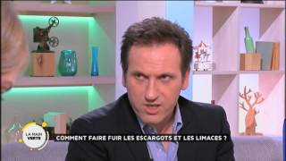 Comment faire fuir les escargots et les limaces [upl. by Paget]