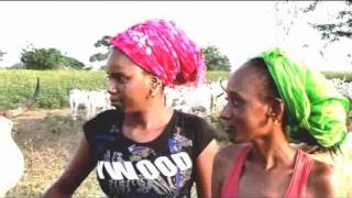 Clip Maman Africa Femmes [upl. by Nairdna147]